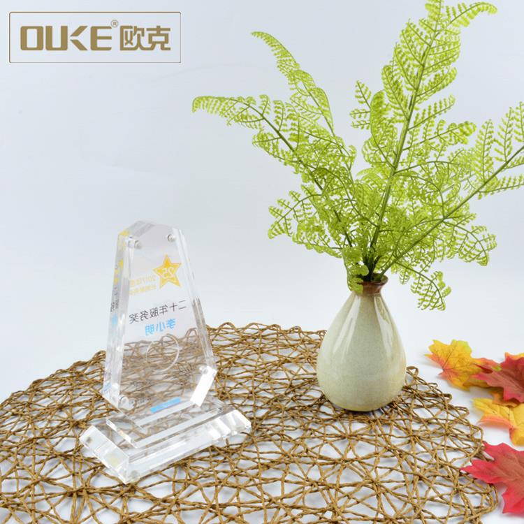 acrylic award 002.JPG