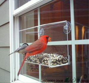Rumah burung pengumpan besar Plexiglass Acrylicbird pada posting untuk dijual