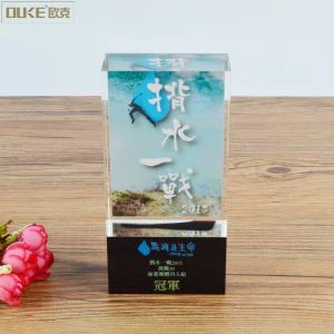 Fashion Design Printing Acrylic Trophy Block